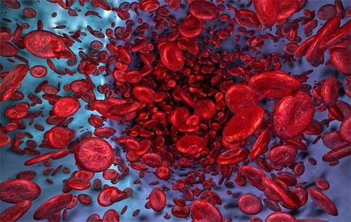 人类的血液只有红色 血液有多少种颜色 了解血液遗传的规律
