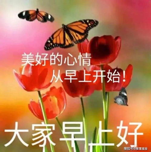 对长辈的问候语及关心话(对长辈的问候语及关心话怎么说)