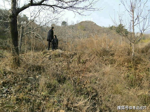 坟墓风水中的天穴,王君植风水大师河北太行山寻龙实拍风水宝地