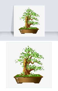 发财树动画图片,发财树图画图片，求救发财树