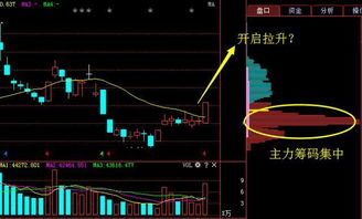 我买了600600的股7000元，他的后市如何..我是应该做长期还是做后期好（回答麻利点，别从网上弄一大堆来 好的加分）