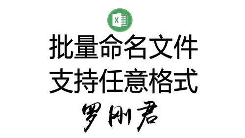 批量命名文件,支持任何形式的命名,快捷又灵活 