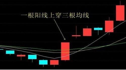 股票出现光头阳线,光头大阳最新分析