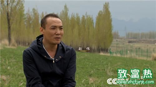 如何区别乌骨鸡和五黑鸡 经济效益哪个更好 