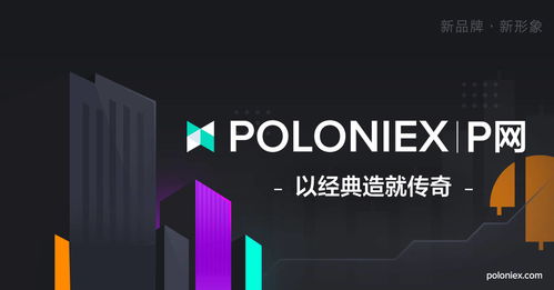 p网官网,探索 P网站的精彩世界