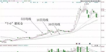 日均线怎么看以及运用T+0操作