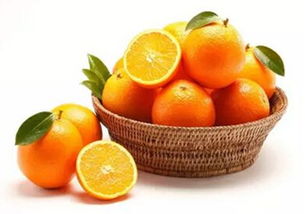 橙子和橘子是凉性的吗(橘子橙子属于寒凉)