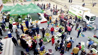 眼红蔬菜直通车生意好 菜贩堵道摆摊马路变市场 