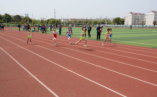 小学田径队训练方法及,小学田径训练队训练计划