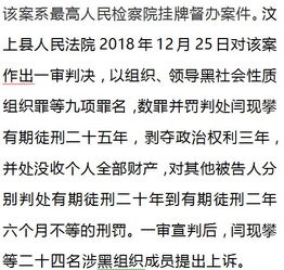 济宁 黑社会 老大闫某某,获刑25年