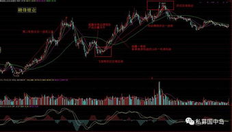 股票年报披露时间 是晚上 还是早上