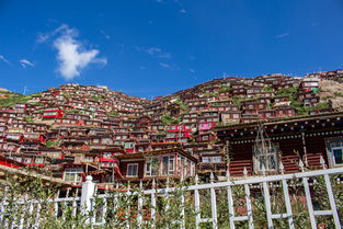 国内小众旅游城市 (小众国外旅游城市)