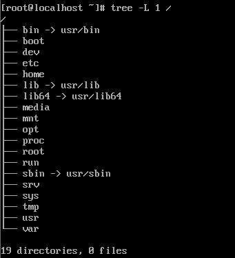 存放linux基本命令的目录是bin,Liux基础命令宝库：bi目录揭秘
