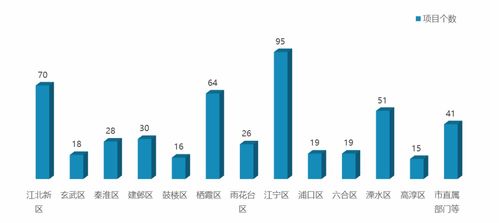 重大项目名单发布