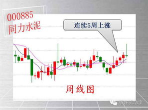 上海本地股的好股票有哪些?