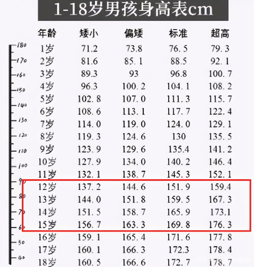 初中生 身高表 新鲜出炉,超过这个数值才行,你家孩子达标了吗