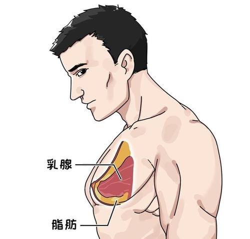 男人的胸究竟有什么用 只是因为美观吗 其实TA深藏功与名