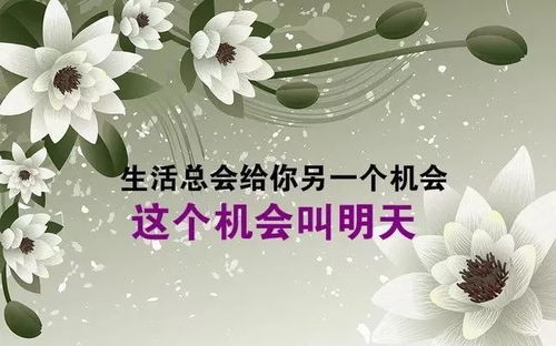 早安正能量哲理经典 激励人生的励志语录