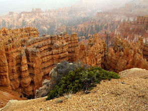 布莱斯峡谷,国家公园,犹他州,美国,侵蚀,西,巅峰,红色,砂岩,景观,旅游景点,自然,风景,沙漠 