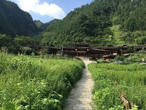 你只知道仙女山,却不知道那些深藏在武隆的冷门秘境,景美免费 