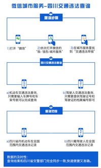 四川交通违章查询,四川交通违章查询网（便捷查询违章记录的专业平台）-第2张图片