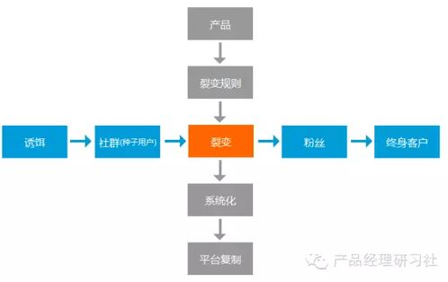 一张图说尽裂变营销究竟该怎么玩 