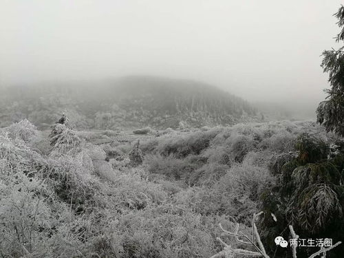 福利来了 自驾游仙女山看雪,门票仅需48元