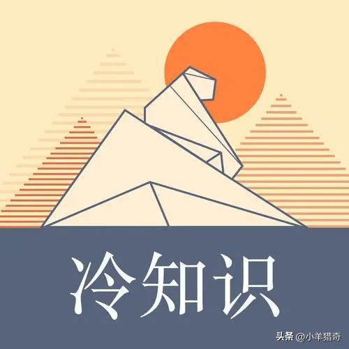 冷知识平台(冷知识大全有用的)