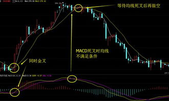 macd 和均线结合 怎么用