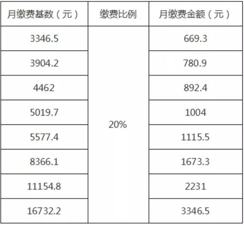 定了 2019年广西调整养老保险缴费基数,快看你该缴多少