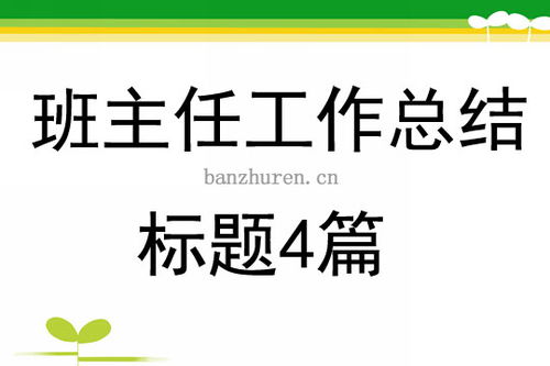 班主任工作总结标题4篇