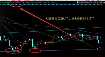 大盘反弹，为什么手里的个股不涨反跌