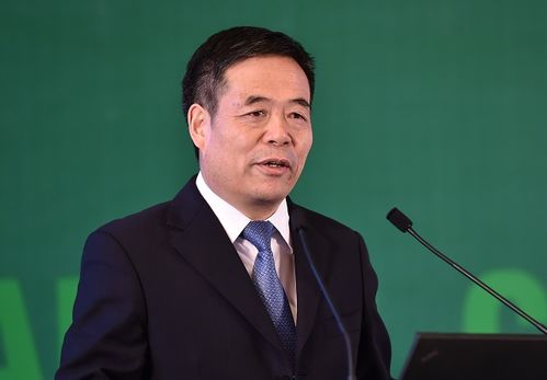  富邦有限公司董事长王宗仁简历,个人简介 天富官网