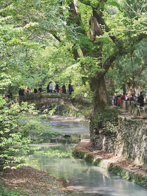 其他地方没有的国清寺 