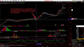 高送转股票什么时候卖,高转送股票要如何操作