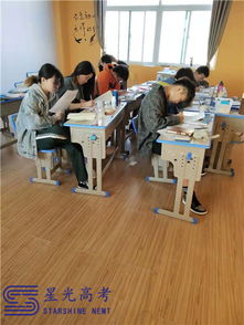 西安高三艺考文化课培训学校排名