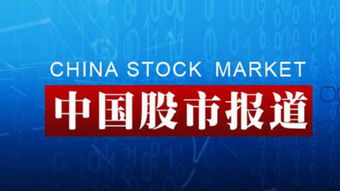 中国股市第一批上市公司叫什么股