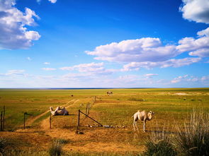 内蒙古旅游,内蒙古旅游攻略：草原骑马、人文景点与自然风光的完美结合