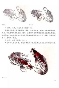 鱼法秘诀 工笔长尾锦鲤画法图解,工笔鱼的画法步骤及欣赏 