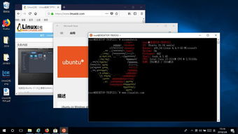 Windows 10 Linux子系统已支持五款Linux发行版
