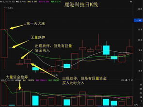 跌停股票股票前一天的封单会不会比对第二天产生影响