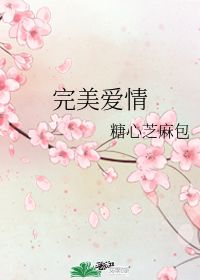 完美爱情 糖心芝麻包 晋江文学城 