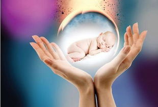 试管婴儿受孕过程：一次奇迹的诞生之旅
