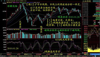 那个高手 看 一下 这个 股中长期咋样