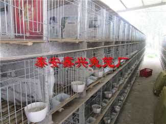 北京水泥兔笼批发,水泥兔笼联系方式