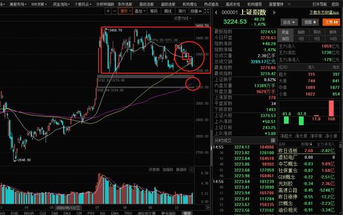 股票分析与选股技巧,股票分析的基本原理