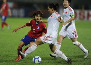 2010亚洲杯 韩国,2010年世界杯亚洲有几只球队参加?