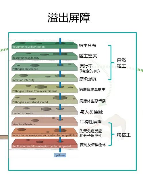 P点CN数贸是个什么组织, P点C数是什么? P点CN数贸是个什么组织, P点C数是什么? NTF