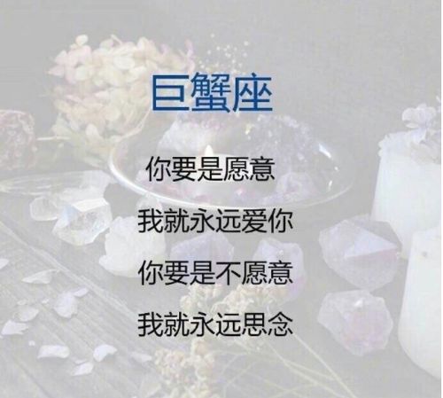 用一句话形容十二星座的爱情