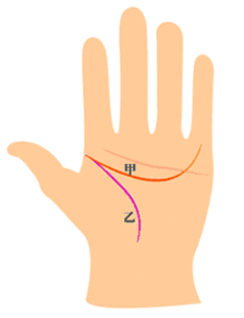 智慧线与生命线相交 